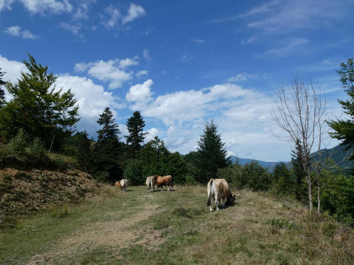 Pleine Nature Pied Pistes Piscine Chauffee Ustou Екстериор снимка